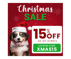 Shop South Africa's Festive Sale! 15% Off Everything! Pet Essential