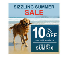 Beat the heat and pamper your pet with BudgetPetSupplies.co.za's Sizzling Summer Sale!