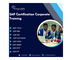 SAP Career Training In Nairobi At Prompt Edify