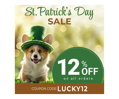 Celebrate St. Patrick's Day with 12% Off Vet Supplies! ☘️