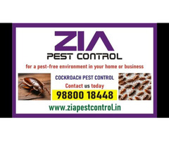 Zia Pest Control Service and pest cleaning | Cockcroach Treatment | 7033