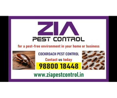 Zia Pest Control | Up To 30% Off | Pest control services Near Me | 7080
