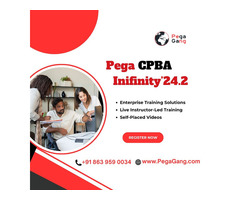 Pega Certified Business Architect Infinity'24 Online Training | PegaGang