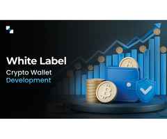 White Label Crypto Wallet Development: Gain The Trust Of Your Users