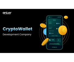 Why Enterprise Teams Prefer to Hire a Crypto Wallet Development Company For Two Weeks Launches