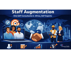 Hire SAP Consultants in south africa | Prompt Edify