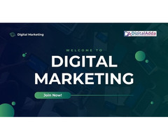 Best Digital Marketing Institute in Delhi for Practical Training